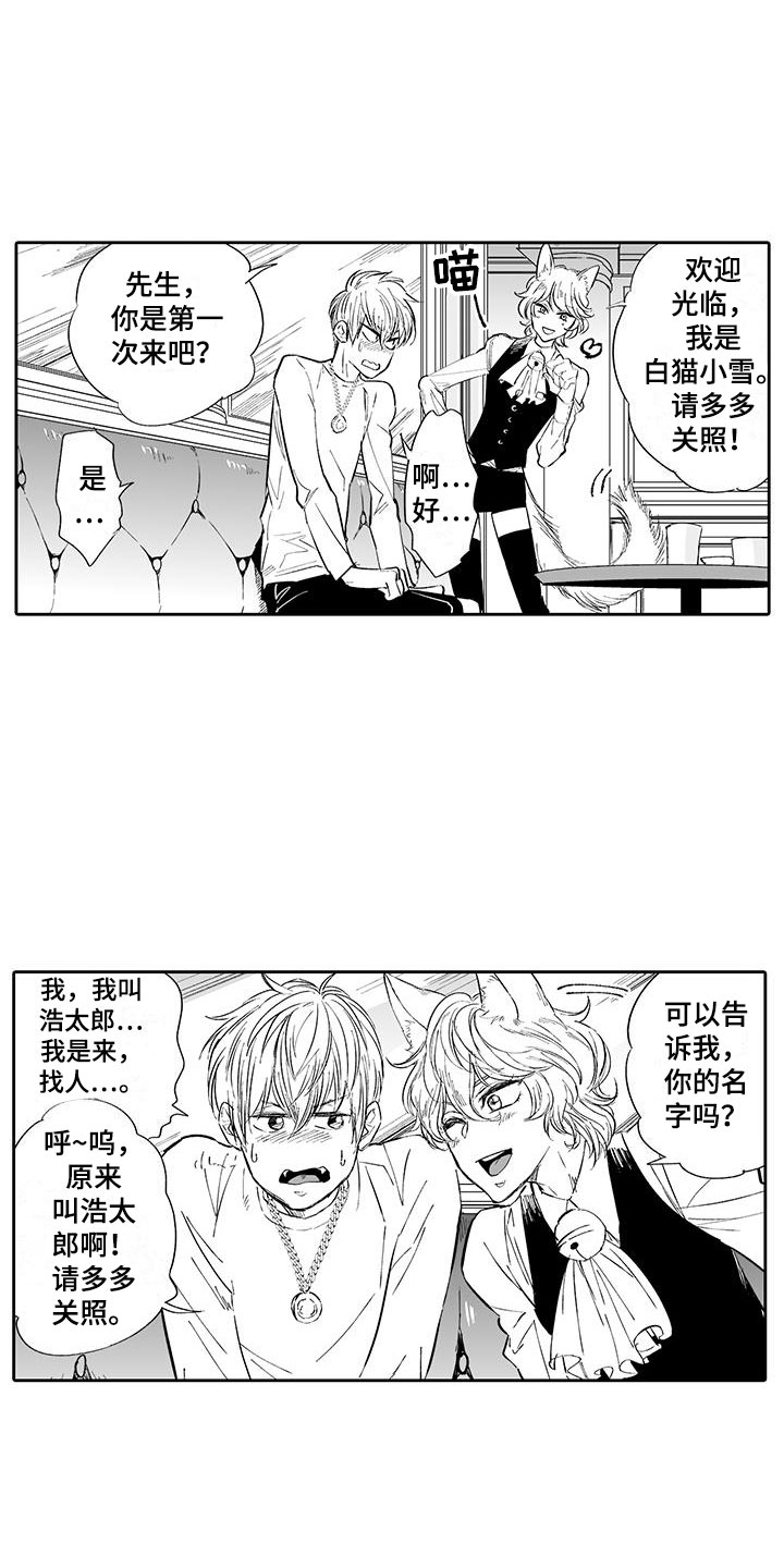 我的小奶酪漫画,第2章：猫咪咖啡屋1图