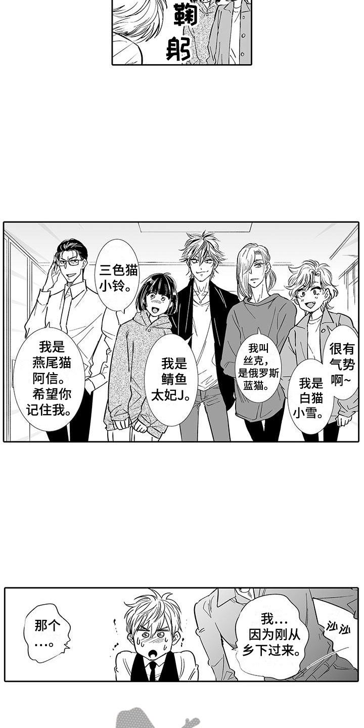 我的小奶酪漫画,第6章：奶酪猫2图