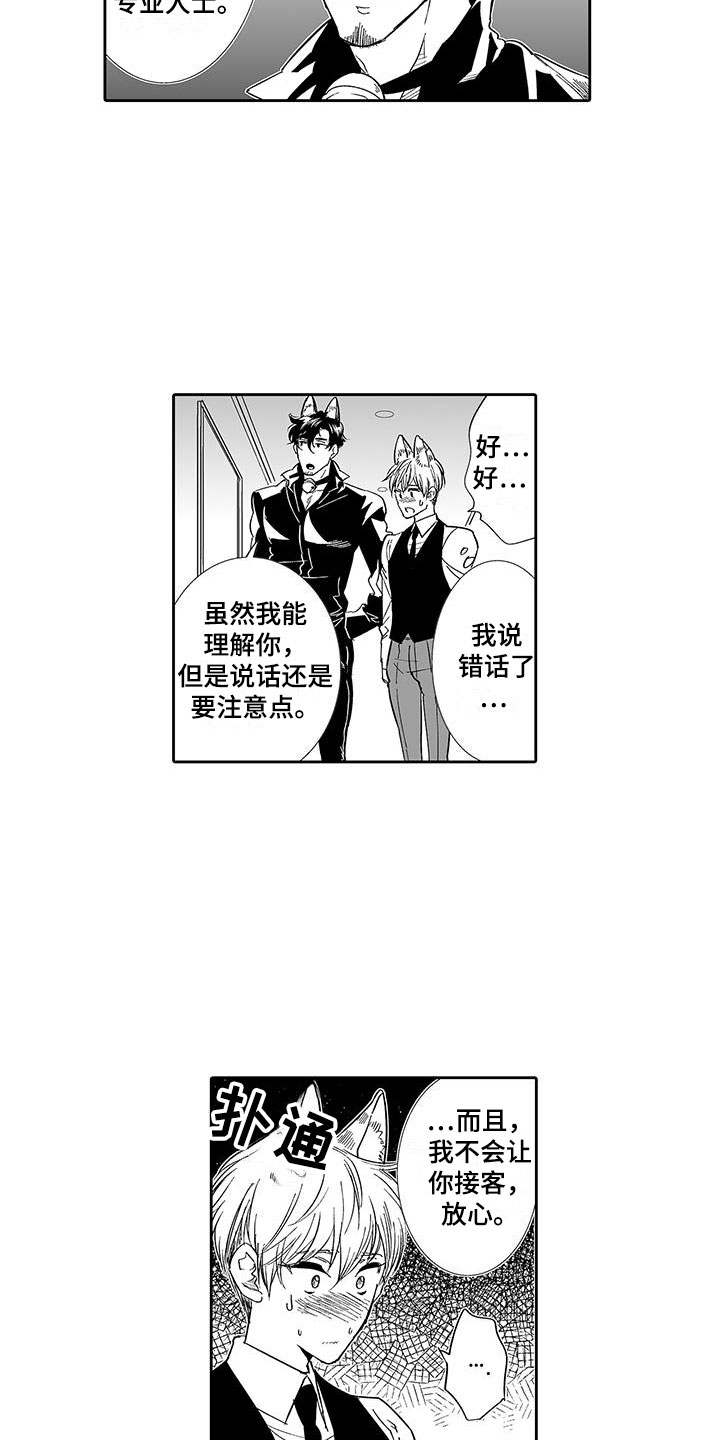 我的小奶酪漫画,第6章：奶酪猫1图