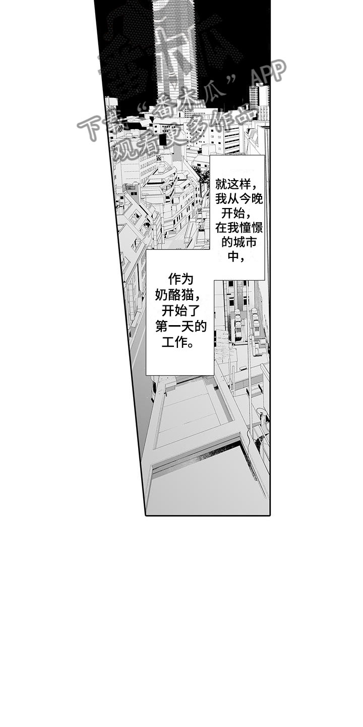 我的小奶酪漫画,第6章：奶酪猫2图
