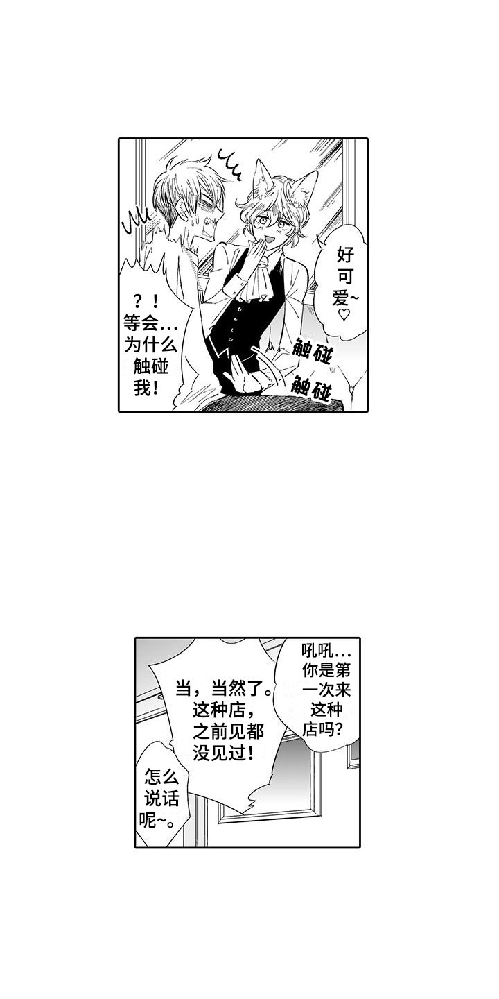 我的小奶酪漫画,第2章：猫咪咖啡屋2图