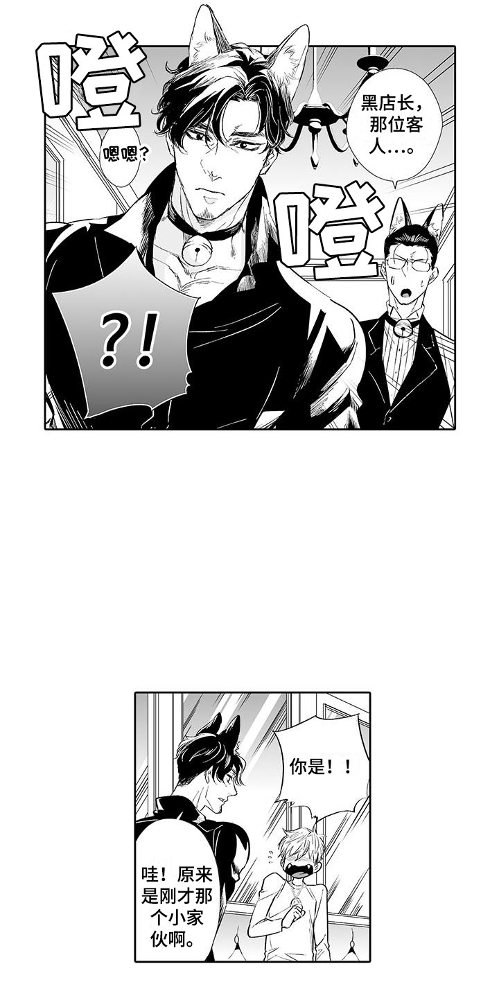 我的小奶酪漫画,第2章：猫咪咖啡屋2图