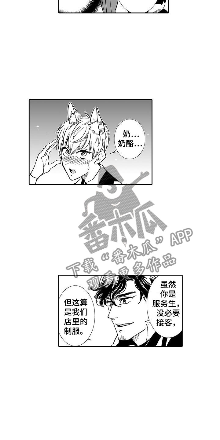 我的小奶酪漫画,第6章：奶酪猫2图