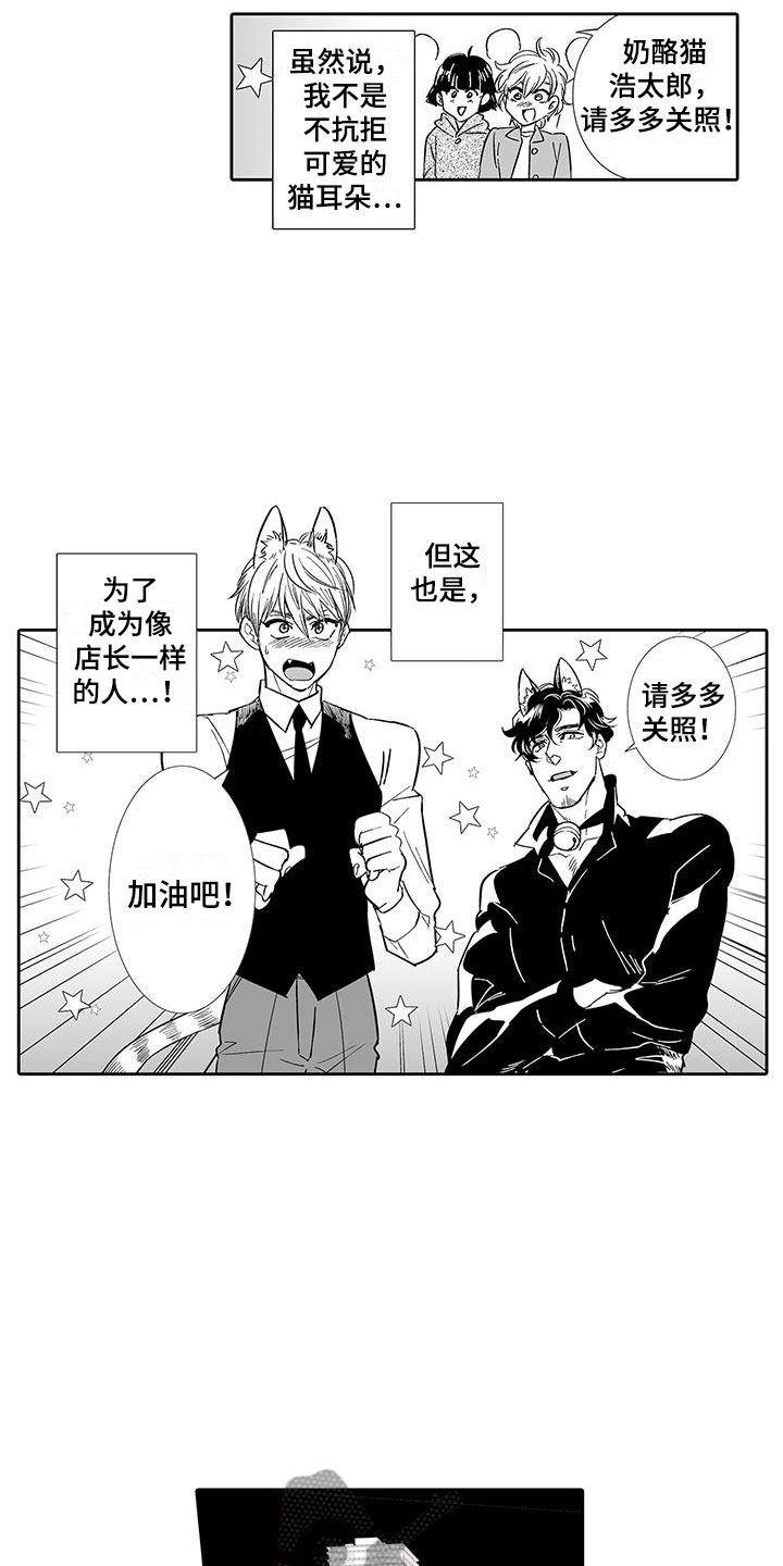 我的小奶酪漫画,第6章：奶酪猫1图