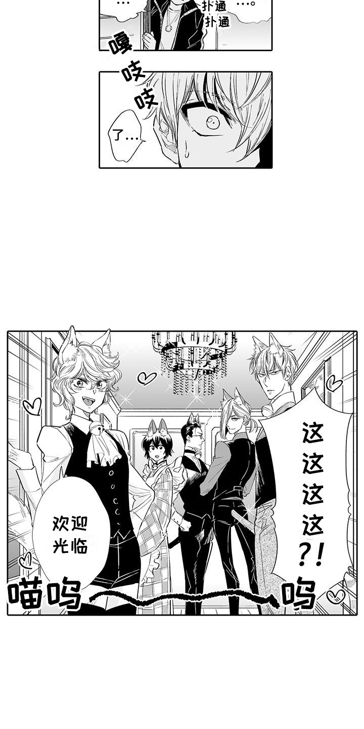 我的小奶酪漫画,第2章：猫咪咖啡屋1图