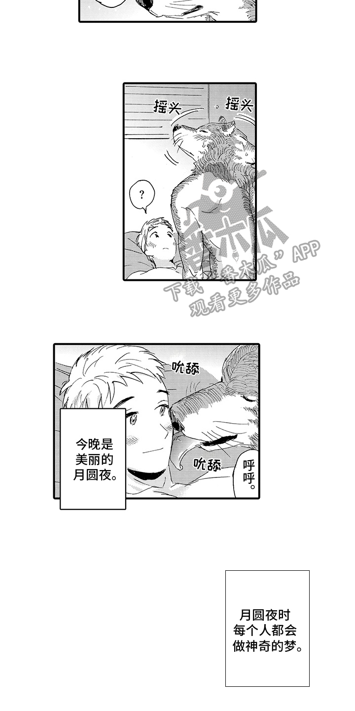 春野与狼独舞漫漫画,第10章：月圆美梦【完结】2图