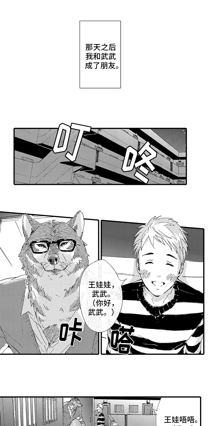 春野与狼独舞动漫在线观看漫画,第3章：喜欢2图