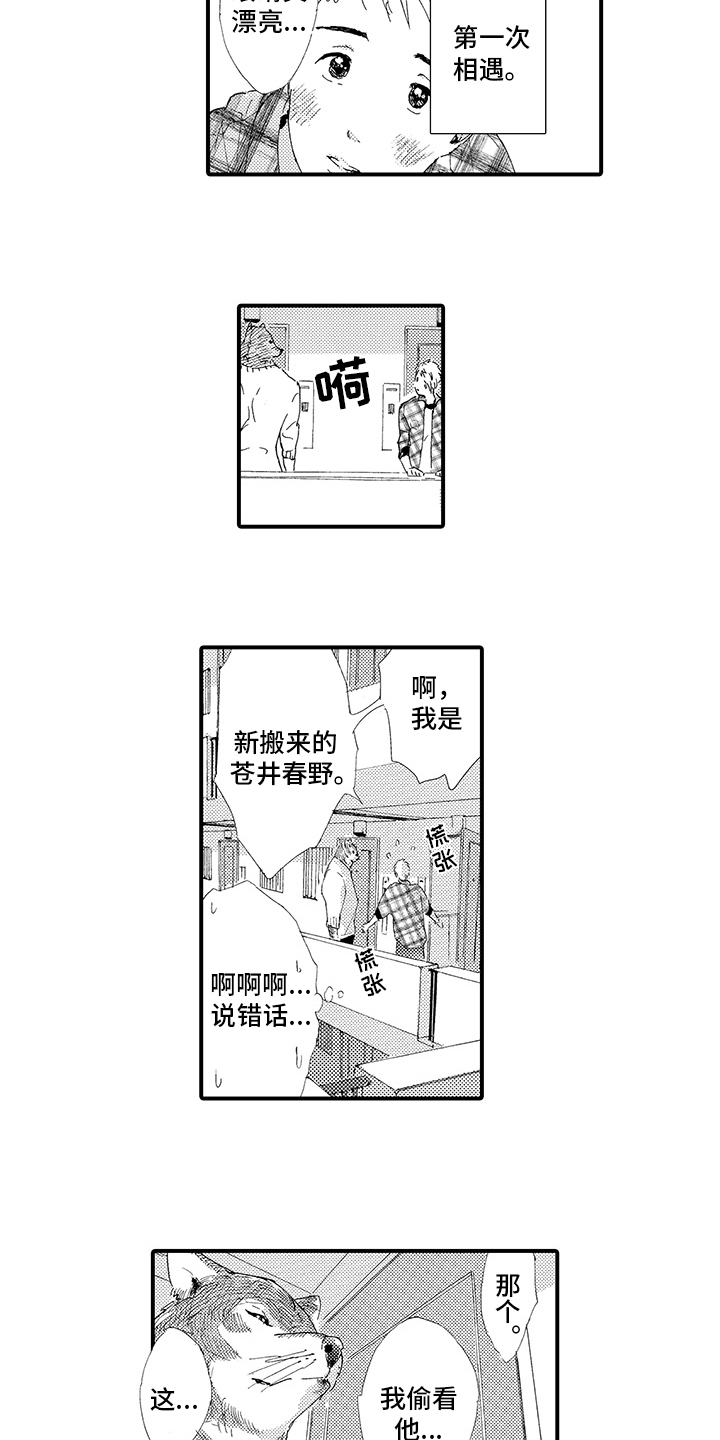 《春野与窗》漫画,第1章：疲惫1图