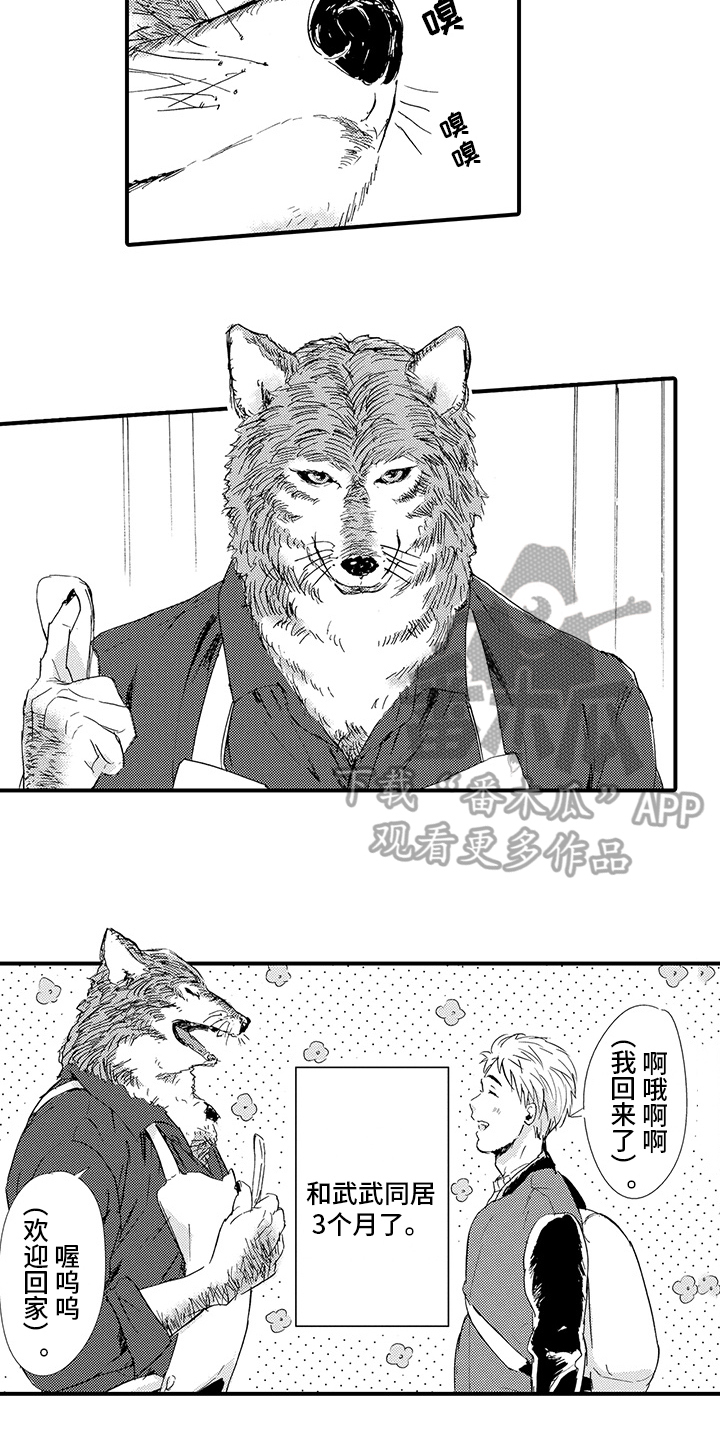 春野与狼独舞动画漫画,第4章：同居1图