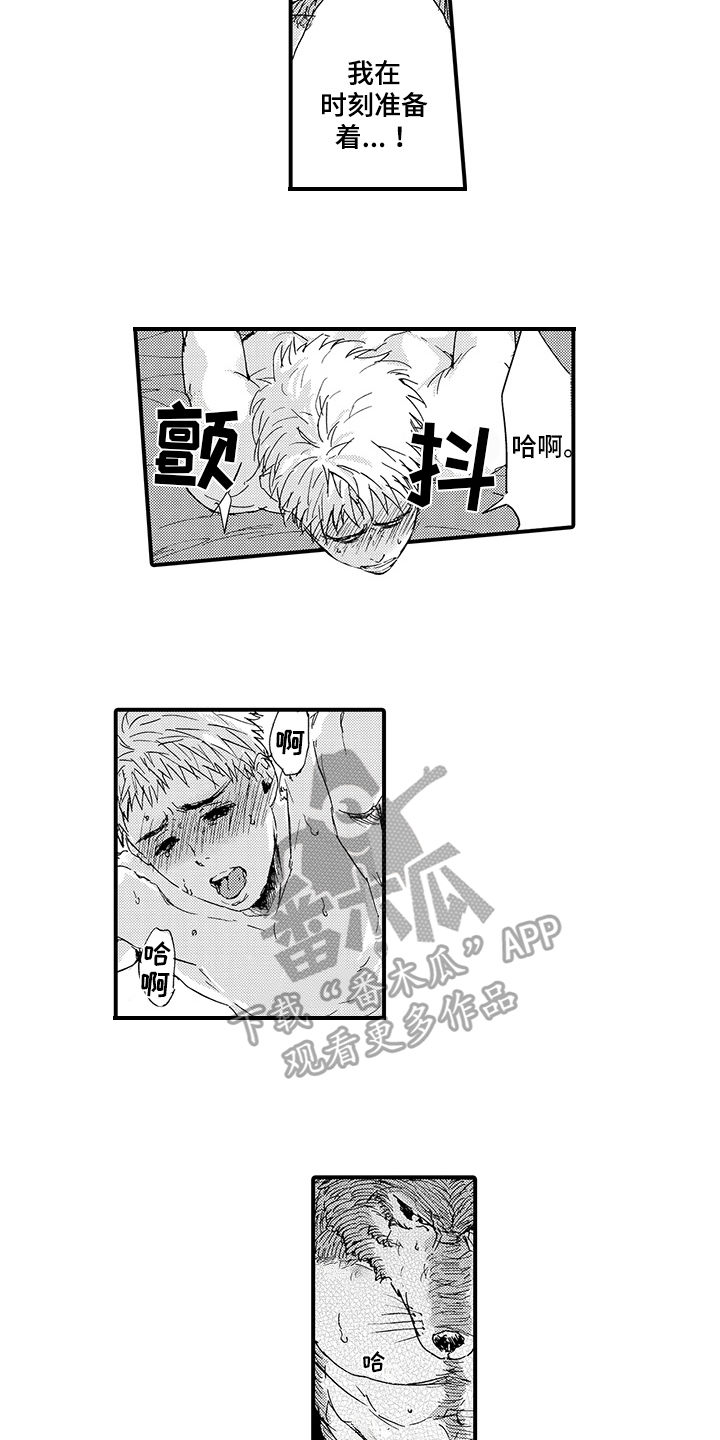 春野与野狼共舞漫画,第8章：期待1图