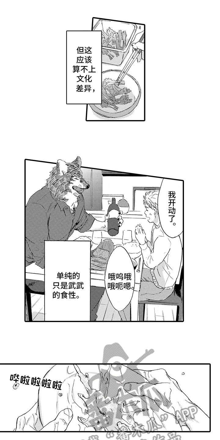 春野与狼独舞漫画,第4章：同居1图