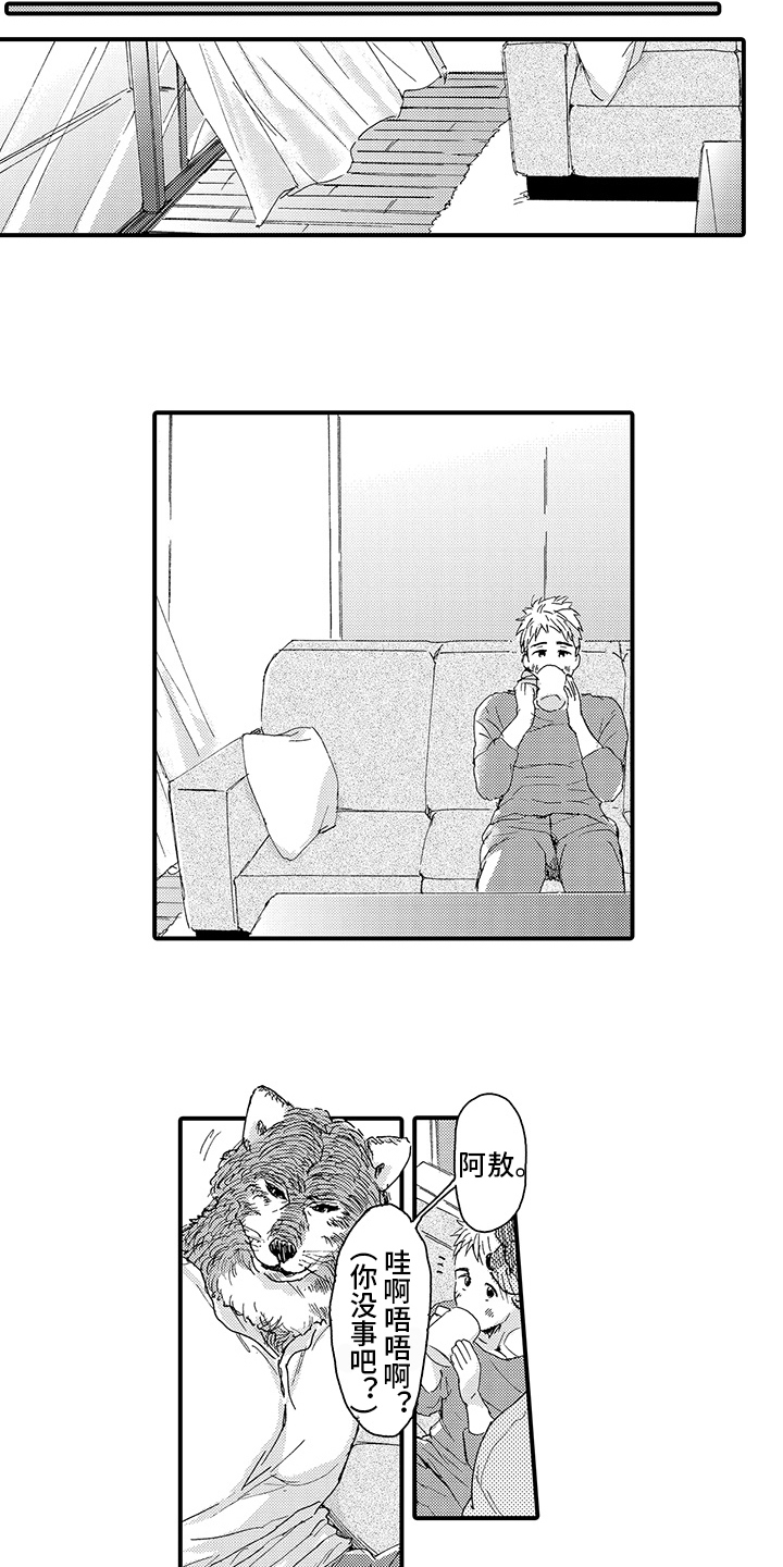 春野与狼独舞漫画,第8章：期待1图