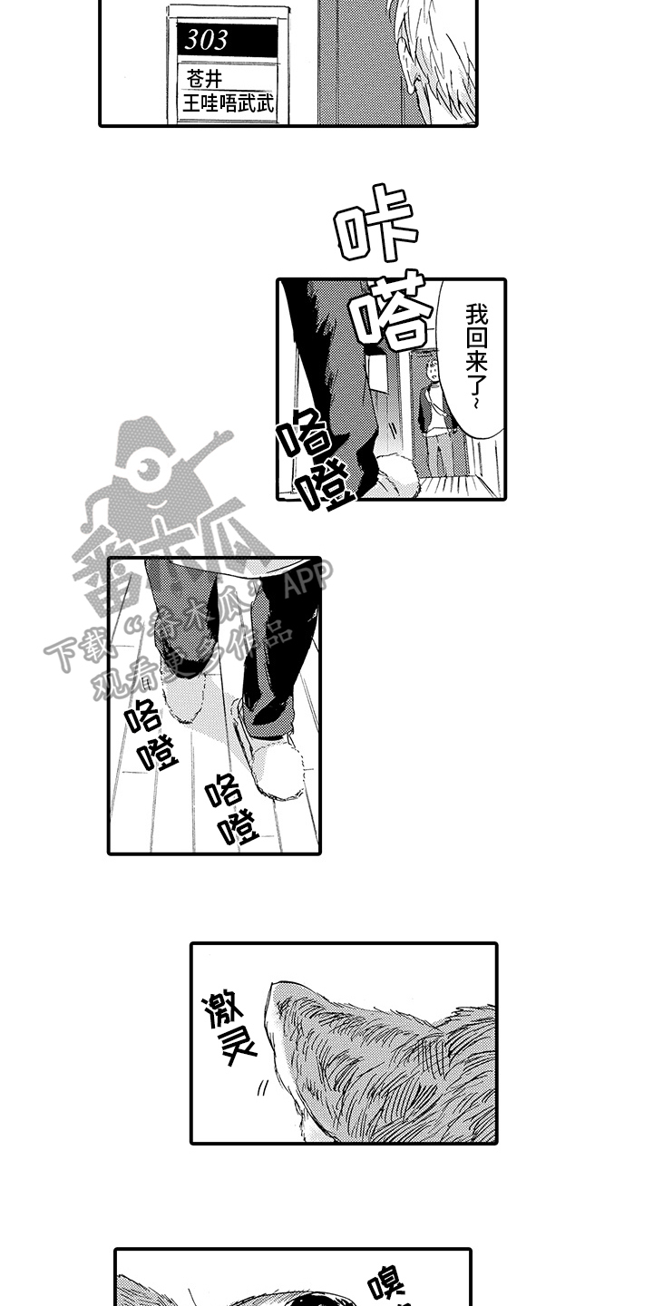 春野与夏恋漫画,第4章：同居2图