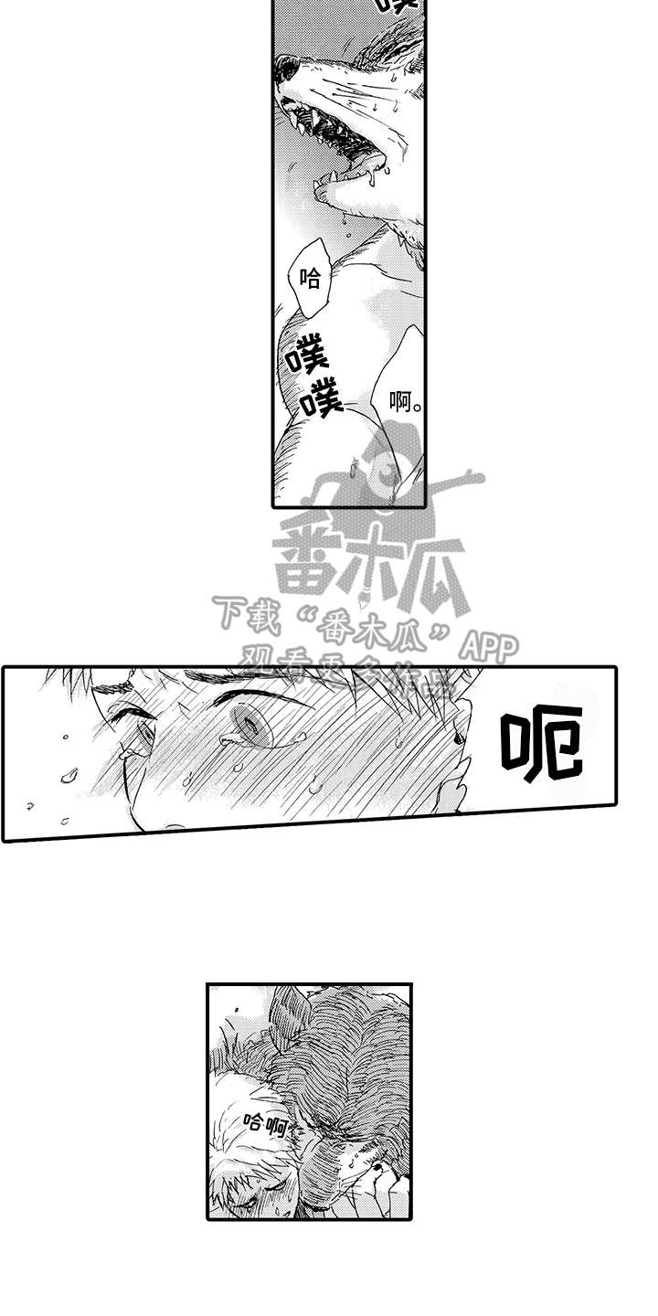 春野与野狼共舞漫画,第8章：期待1图