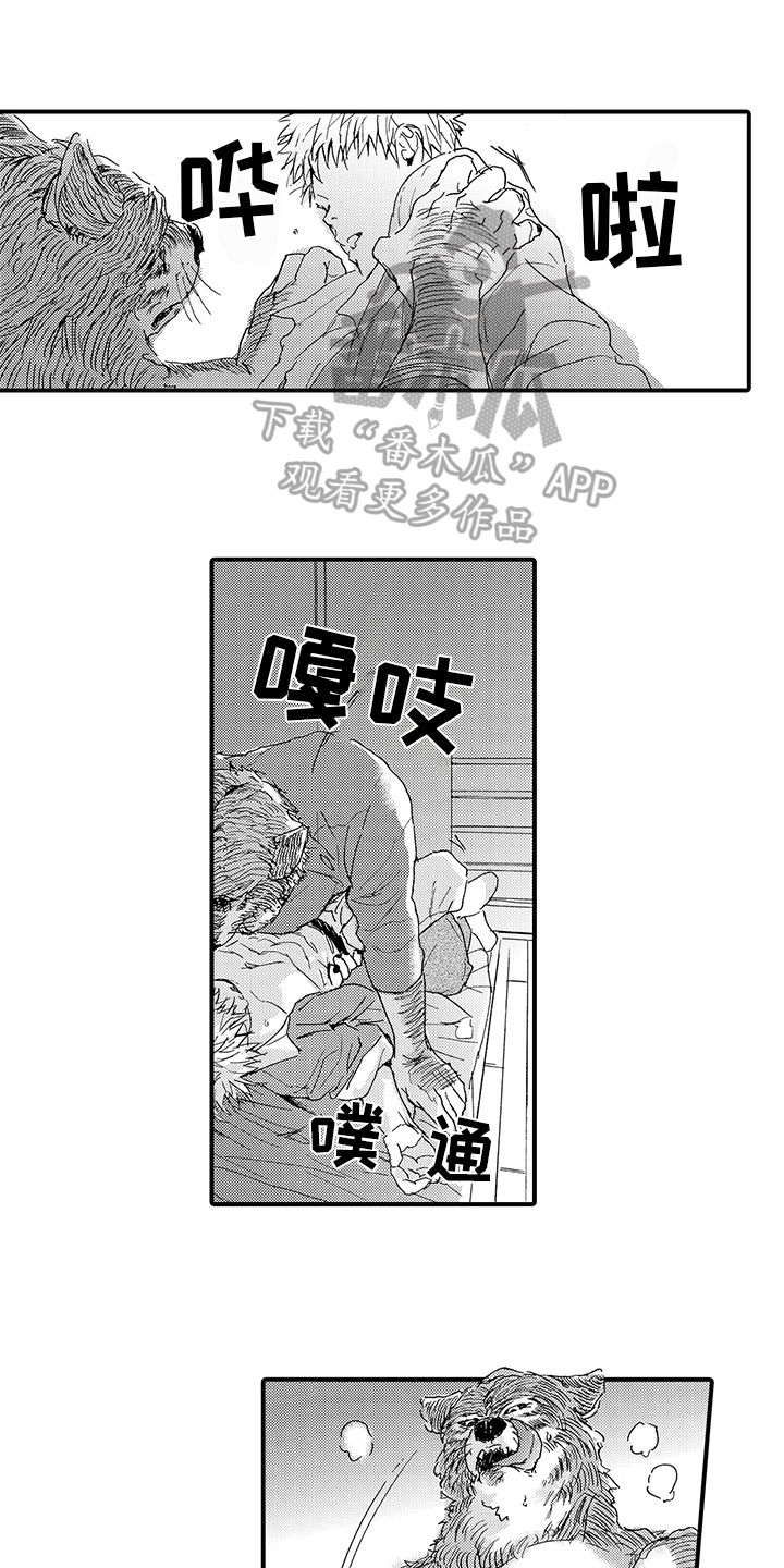 春野与狼独舞漫画,第8章：期待1图