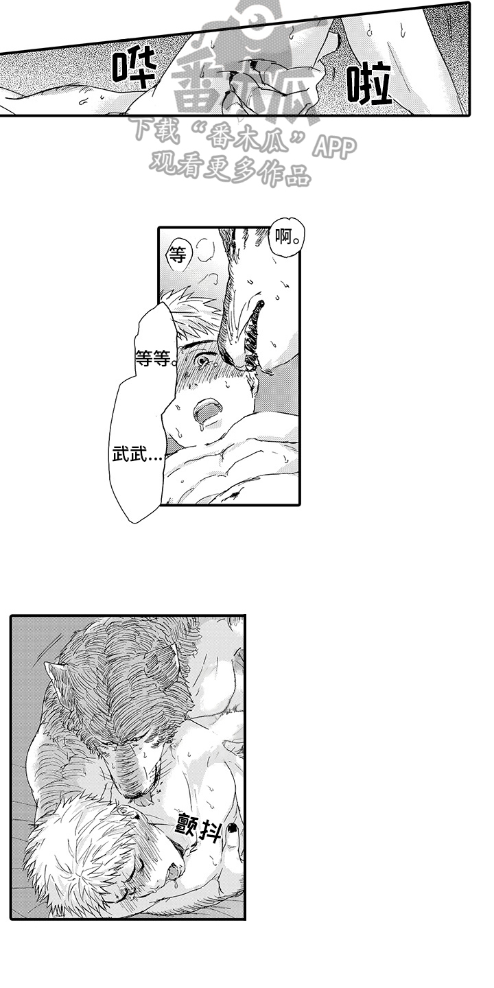 春野与狼独舞漫画,第8章：期待1图