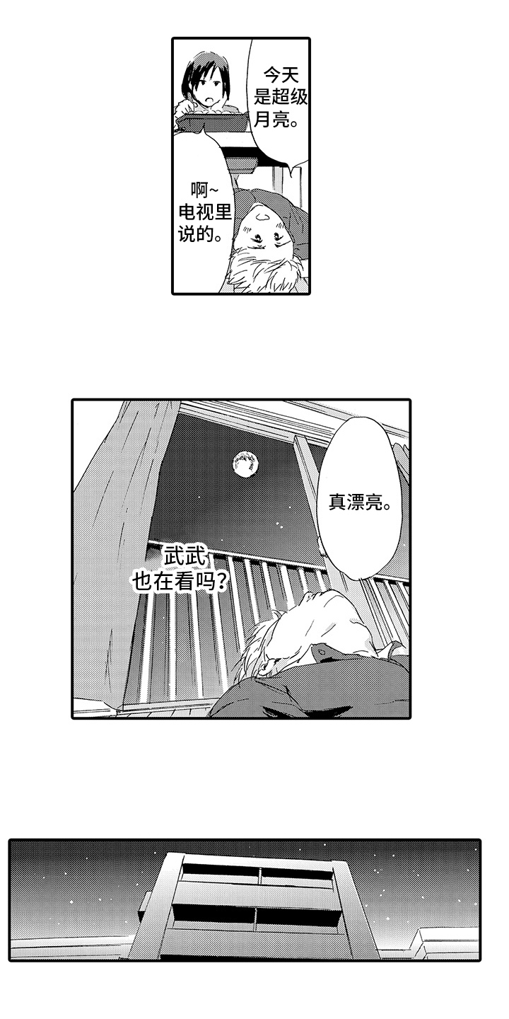 《春野与窗》漫画,第6章：出事2图