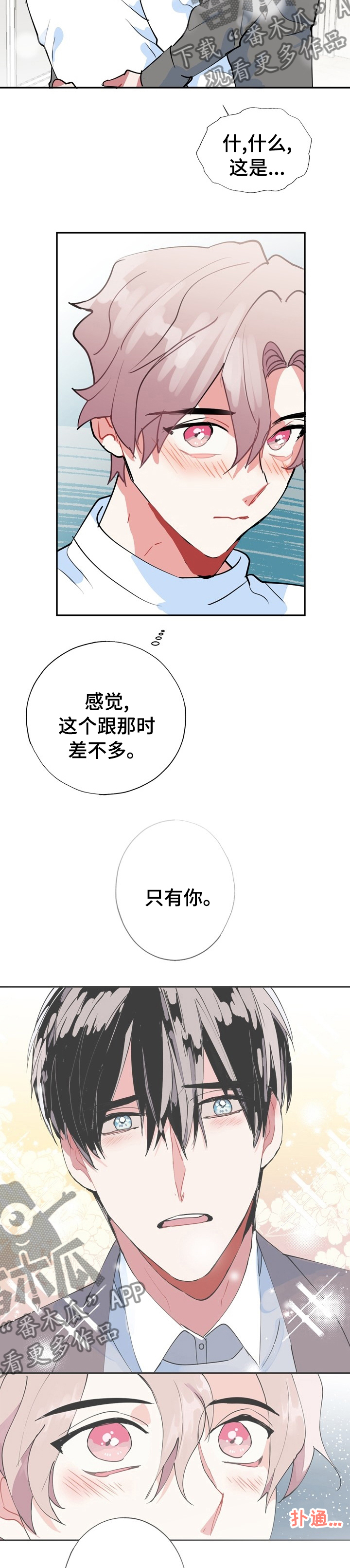 灵体之躯漫画,第64章：【完结】经纪人2图