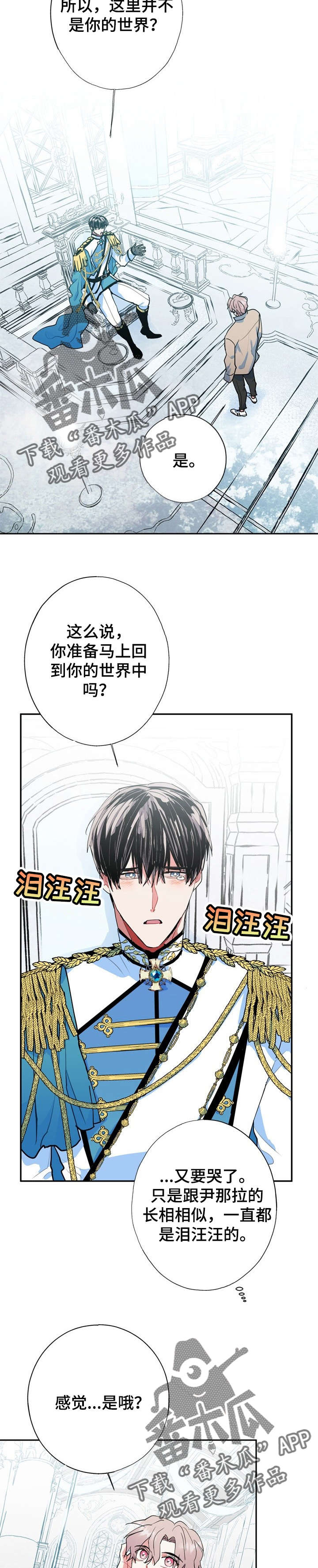 灵体串脉漫画,第18章：王子2图