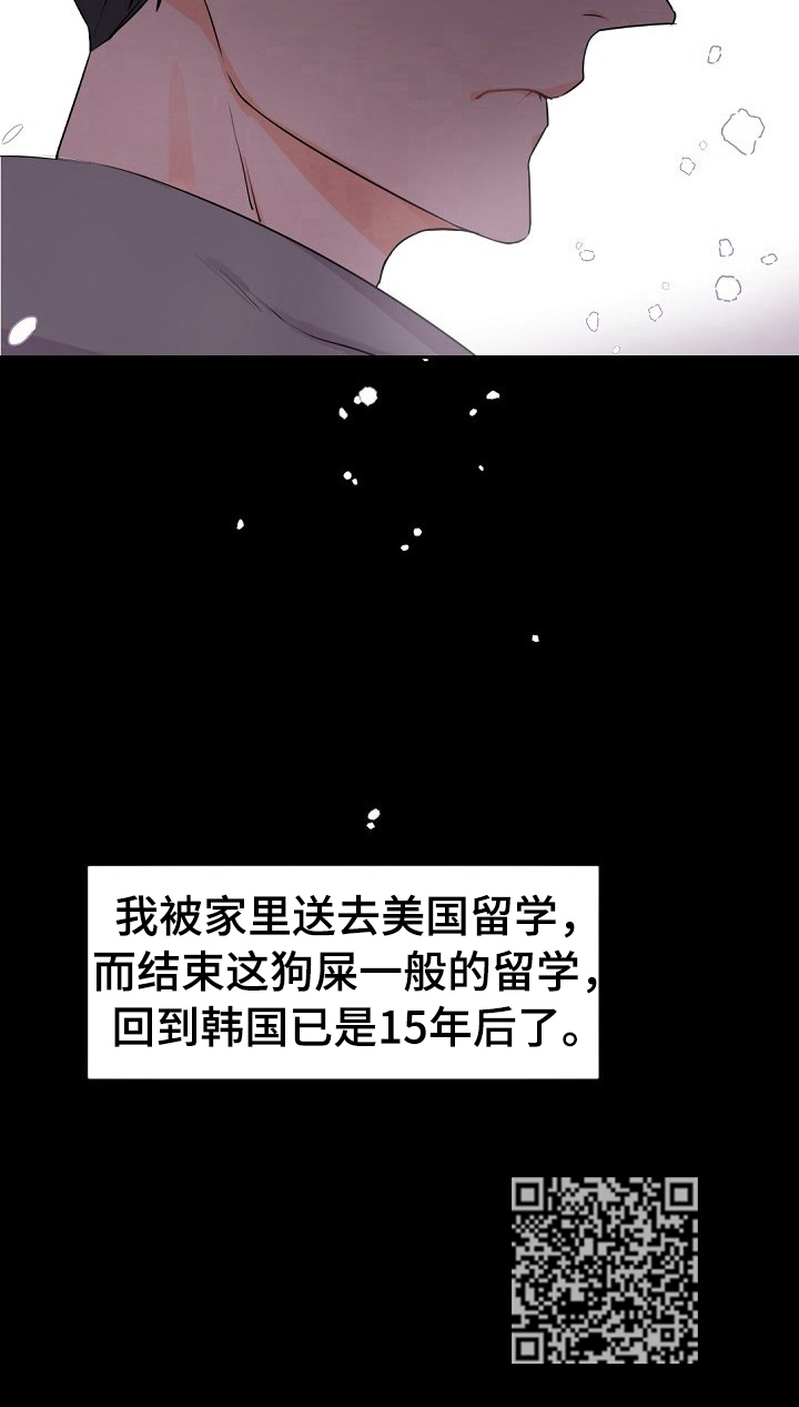 老板的宝贝漫画,第29章：送去美国2图