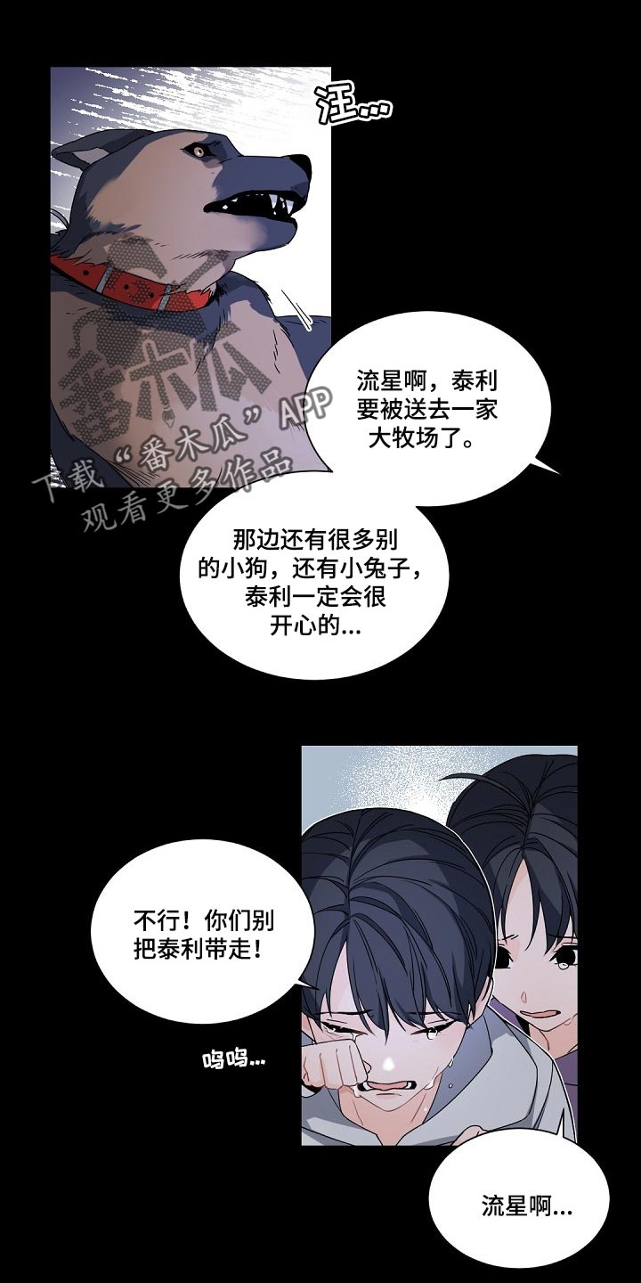 老板的心态漫画,第101章：【第二季】发烧1图