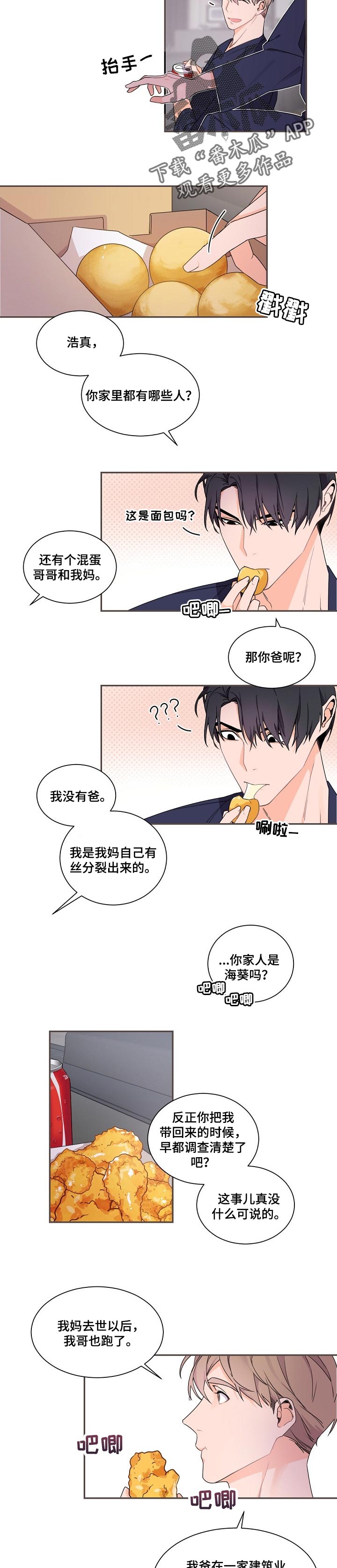 老板的契约男友漫画,第46章：不太对劲的感觉1图