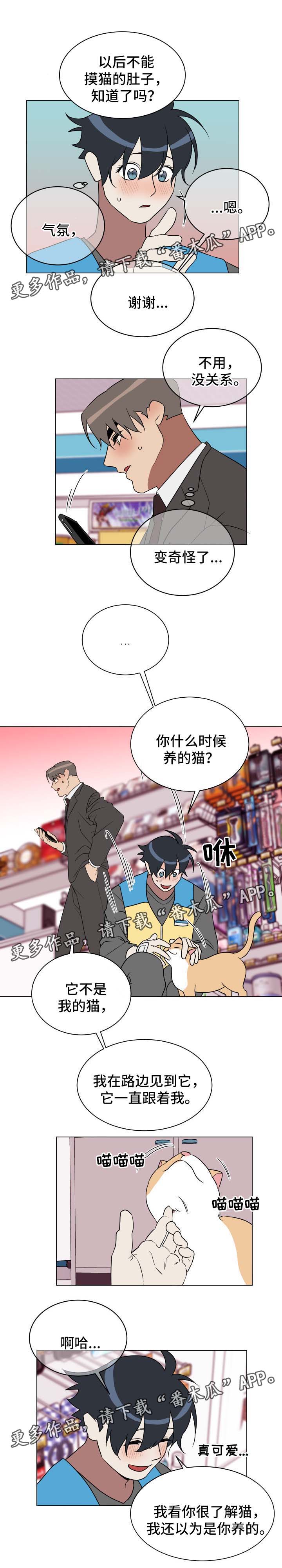 年下弟弟有点甜漫画,第31章：有意思1图