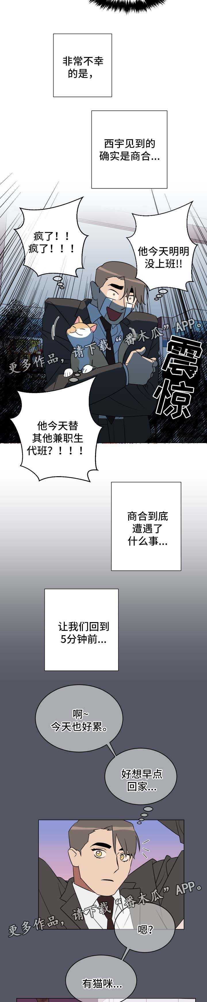 年下策略漫画,第30章：喂猫2图