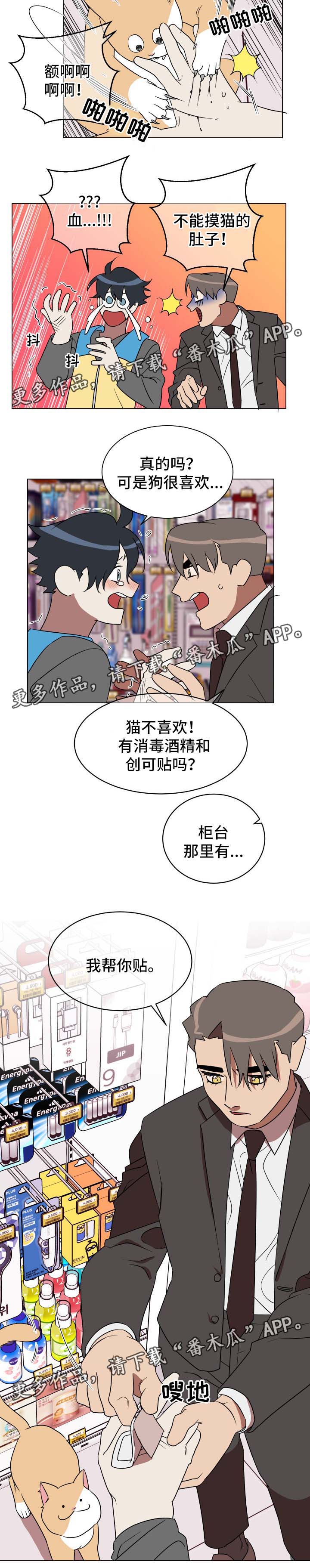 年下宠溺纯爱小说漫画,第30章：喂猫2图