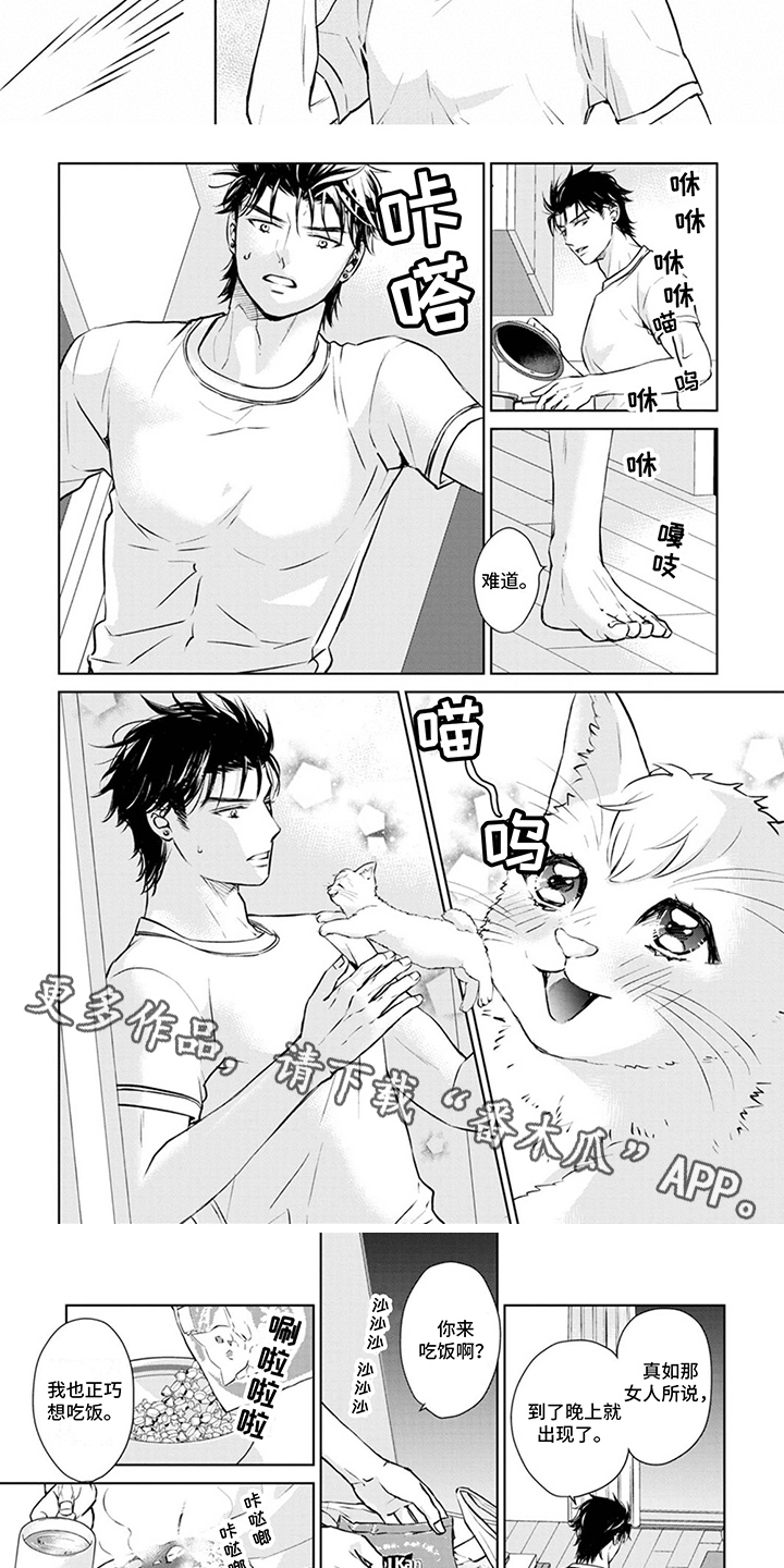 猫报恩的电影漫画,第8章：取名2图