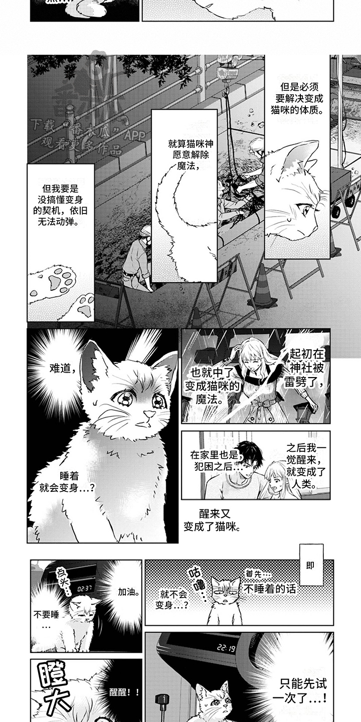 原神狸猫的报恩漫画,第5章：契机2图