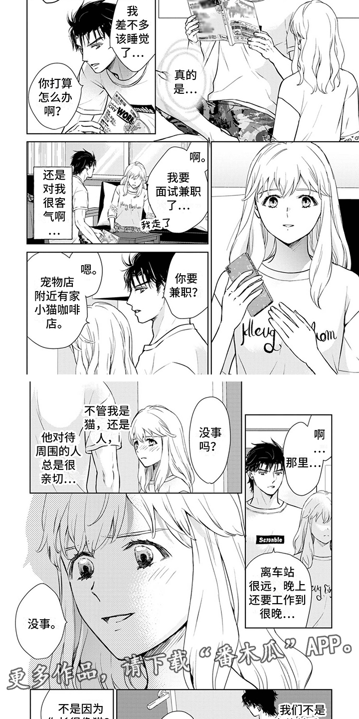 猫女的报恩小说漫画,第10章： 很亲切2图