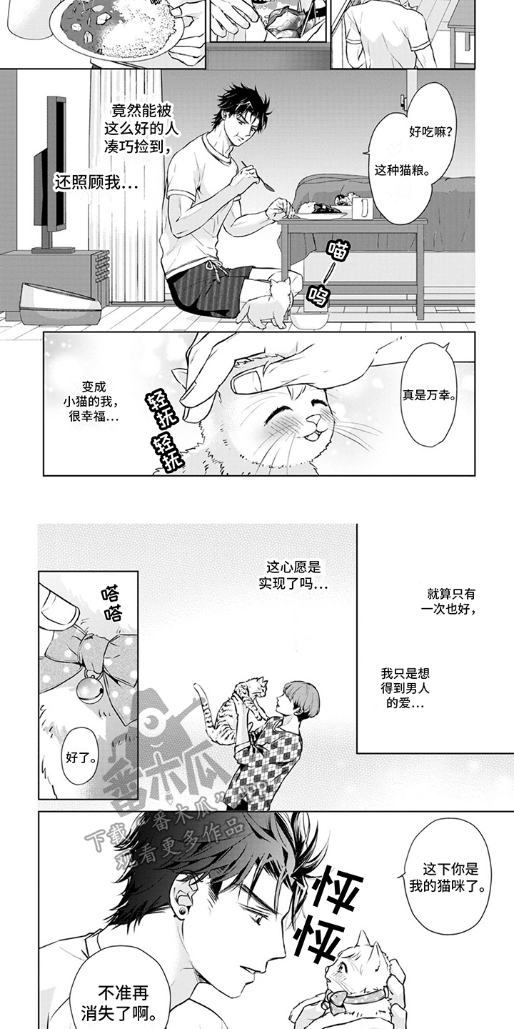 猫女复仇记漫画,第8章：取名1图