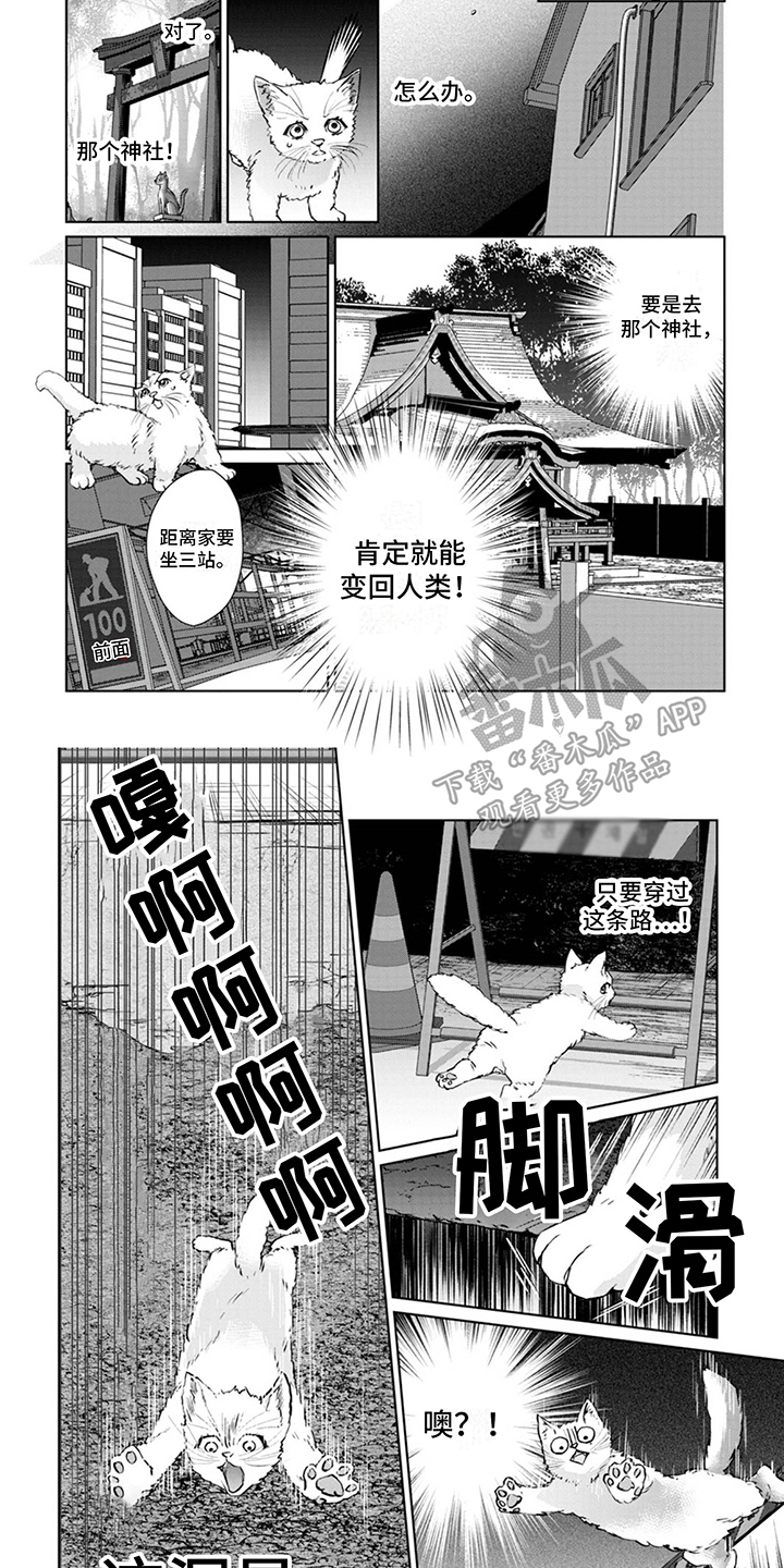 猫女机器人2026年量产是真的吗漫画,第4章：又来了1图