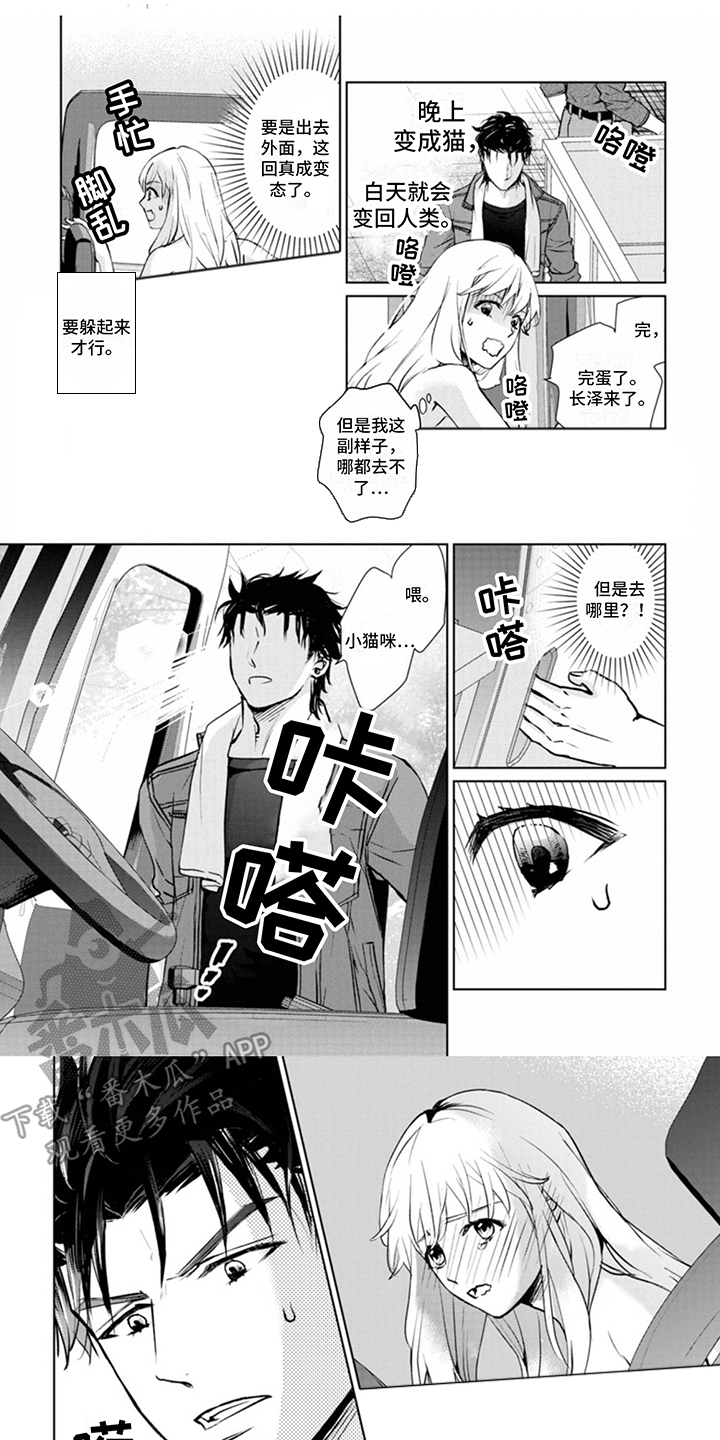 猫女报仇片段漫画,第6章：忍耐1图