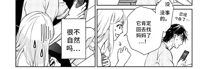 猫女报恩漫画,第3章：手忙脚乱2图