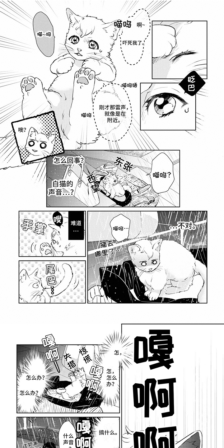 猫女的报恩安卓漫画,第2章：变身1图