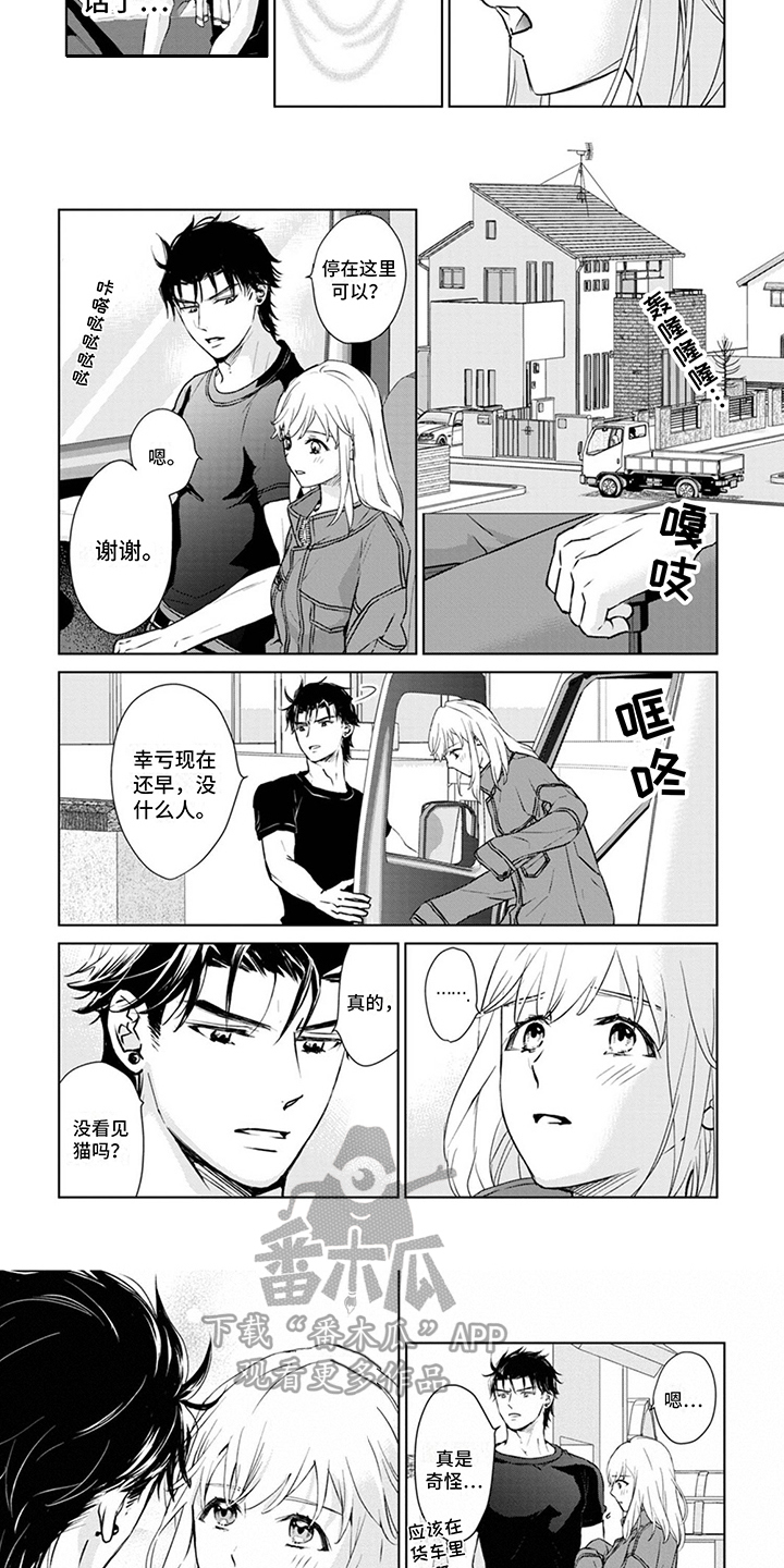 猫女报恩在线完整观看超清版漫画,第6章：忍耐2图