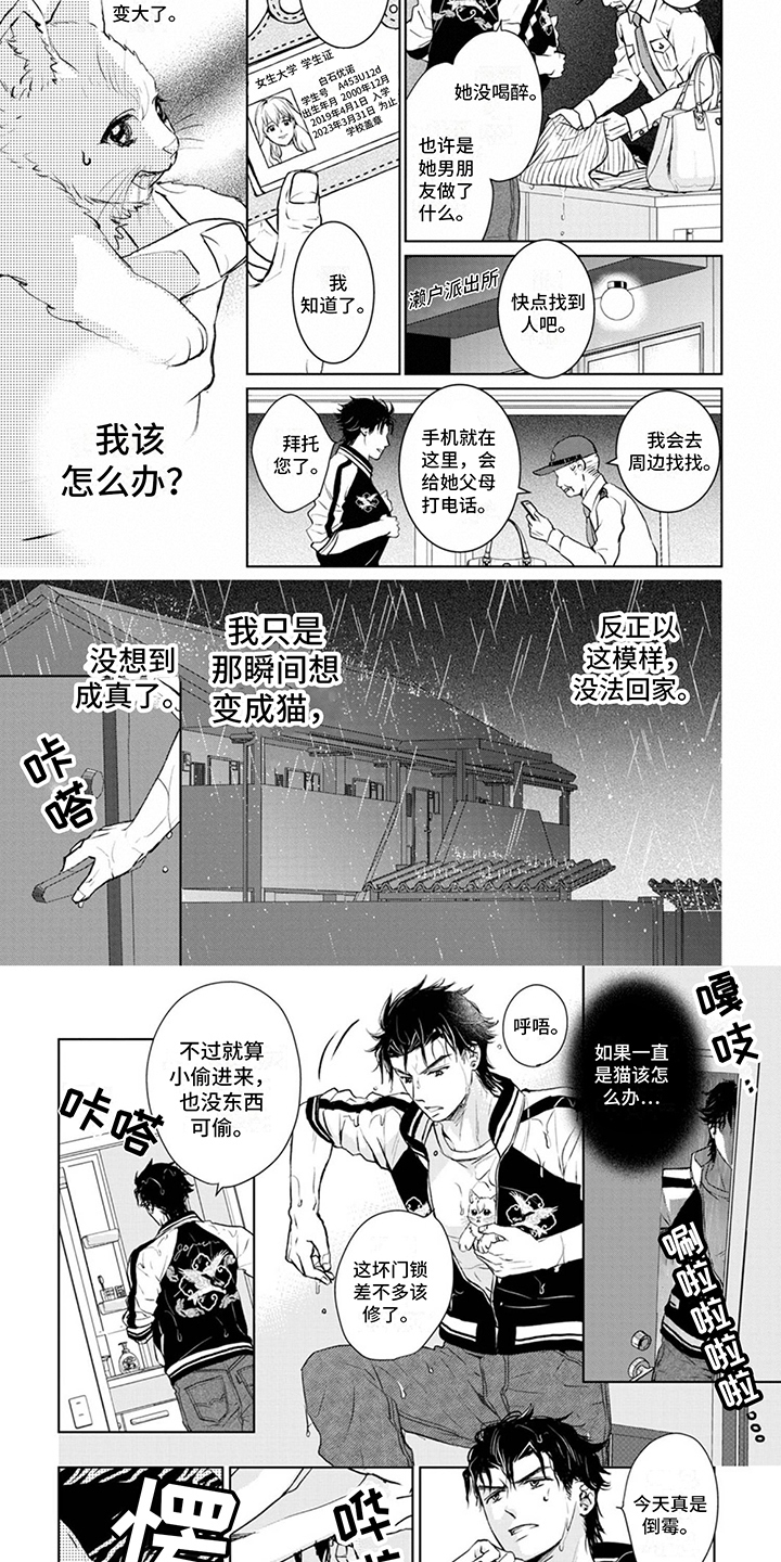 猫女的报恩18漫画,第2章：变身2图