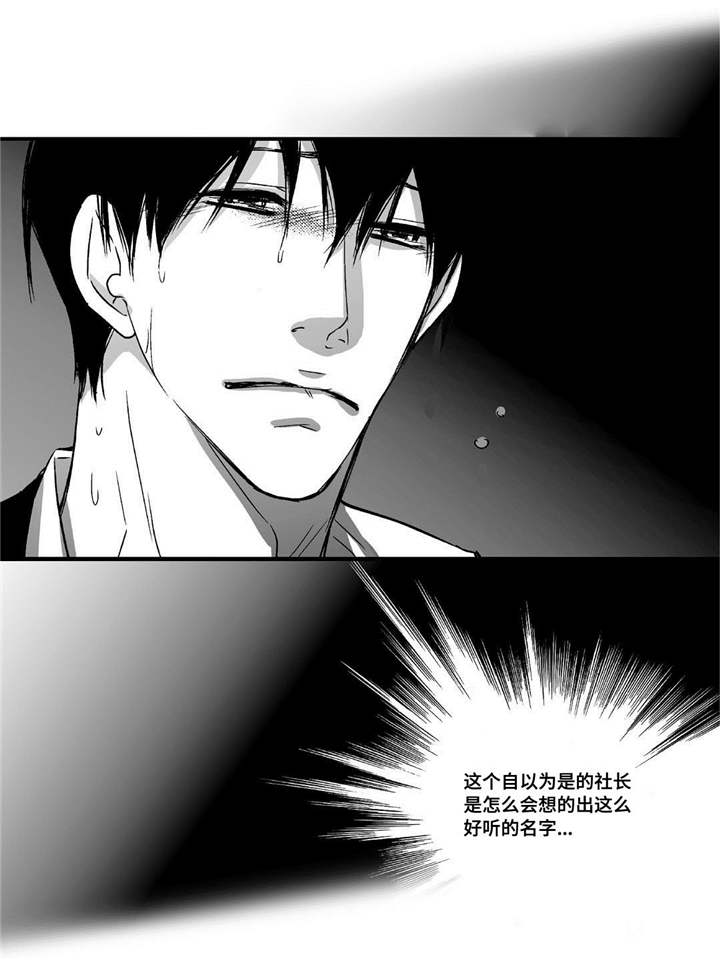 我为你而来漫画,第14章：有妇之夫2图