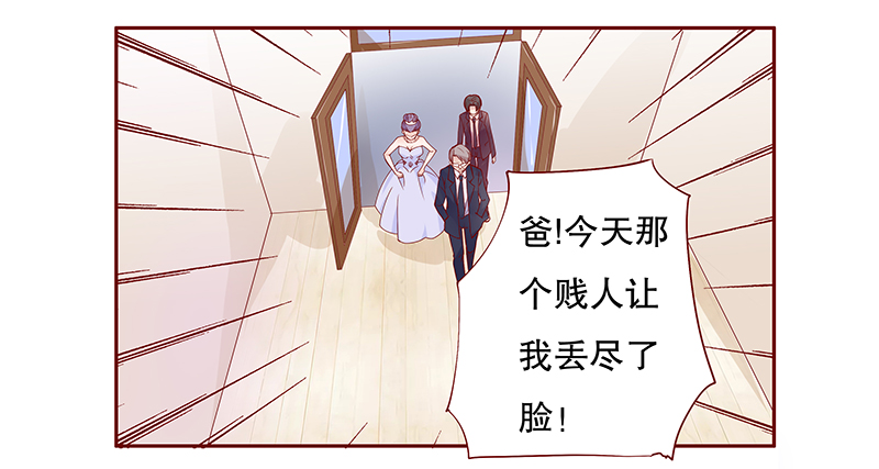 霸道总裁爱上我小说叶婉晴漫画,第97章：叶家的私生女2图