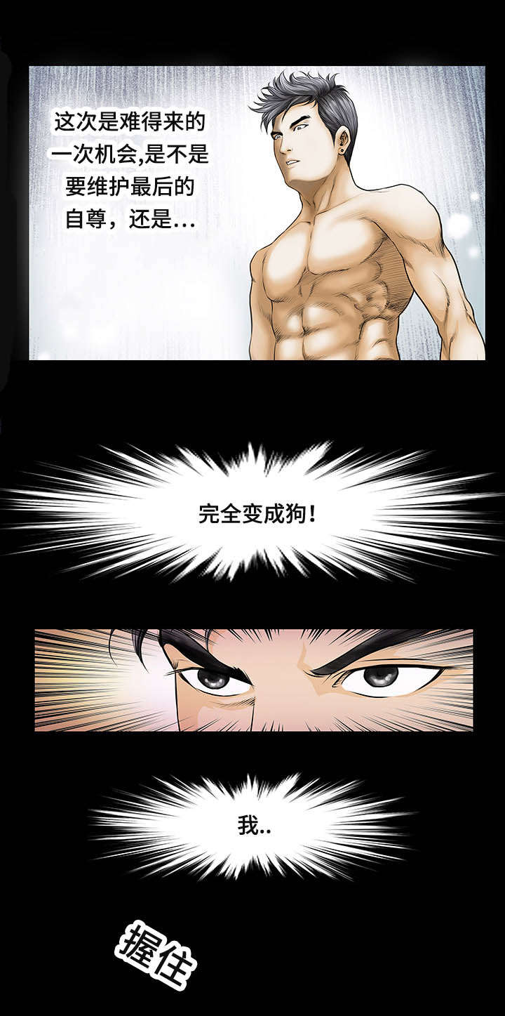 不一样的燕子漫画,第3章：干什么2图