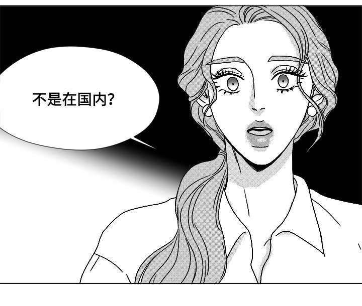 听牌技巧图解漫画,第61章：相像的宝石1图