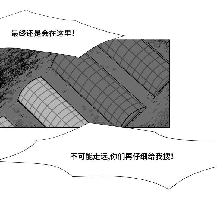 听牌记小说漫画,第25章：赶紧上来1图