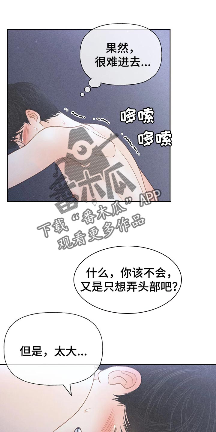 秋牡丹简介漫画,第33章：感谢2图