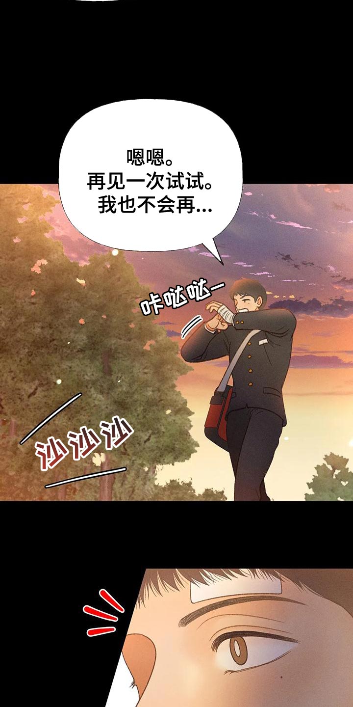 秋牡丹银莲花漫画,第68章：【第二季】另有其人2图