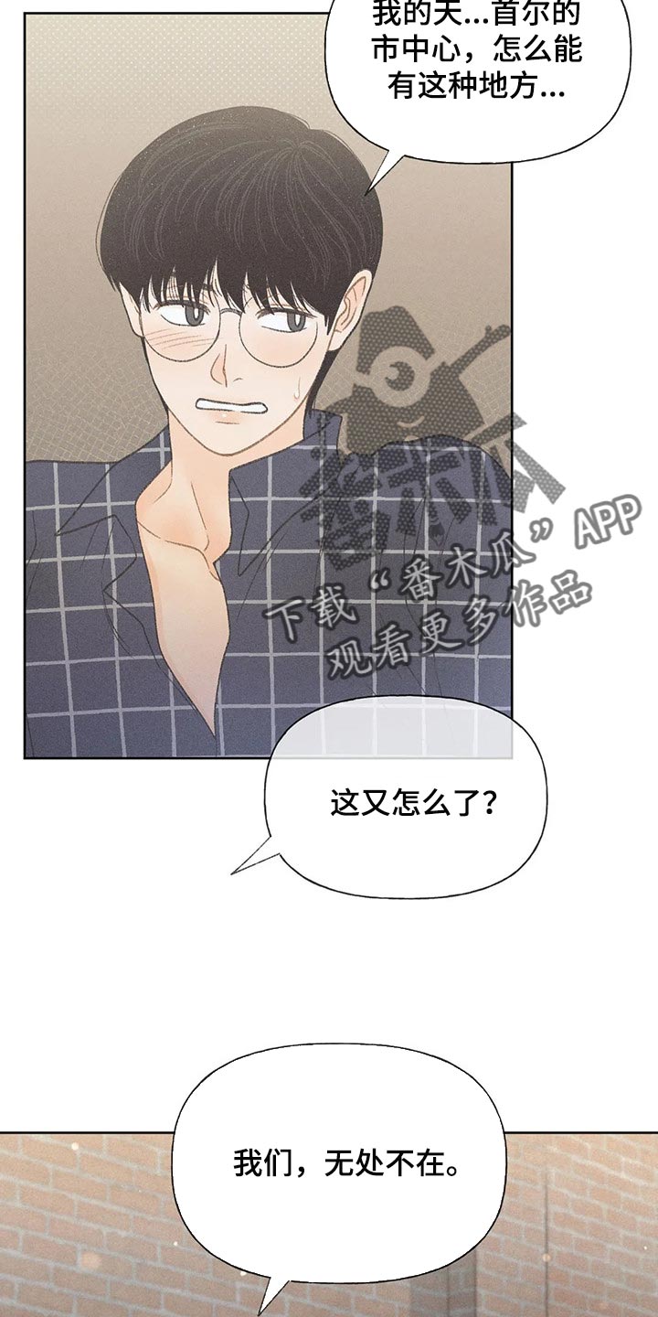 秋牡丹的特点漫画,第24章：妨碍1图