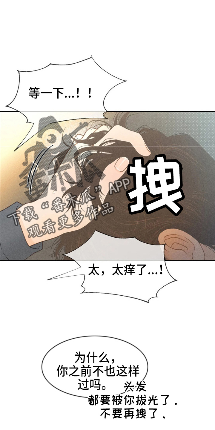 秋牡丹野棉花种植漫画,第44章：夸张1图