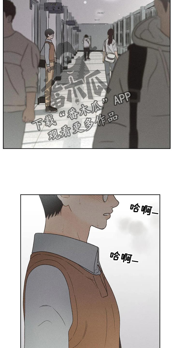 秋牡丹养殖技术漫画,第26章：你给我好好想想2图