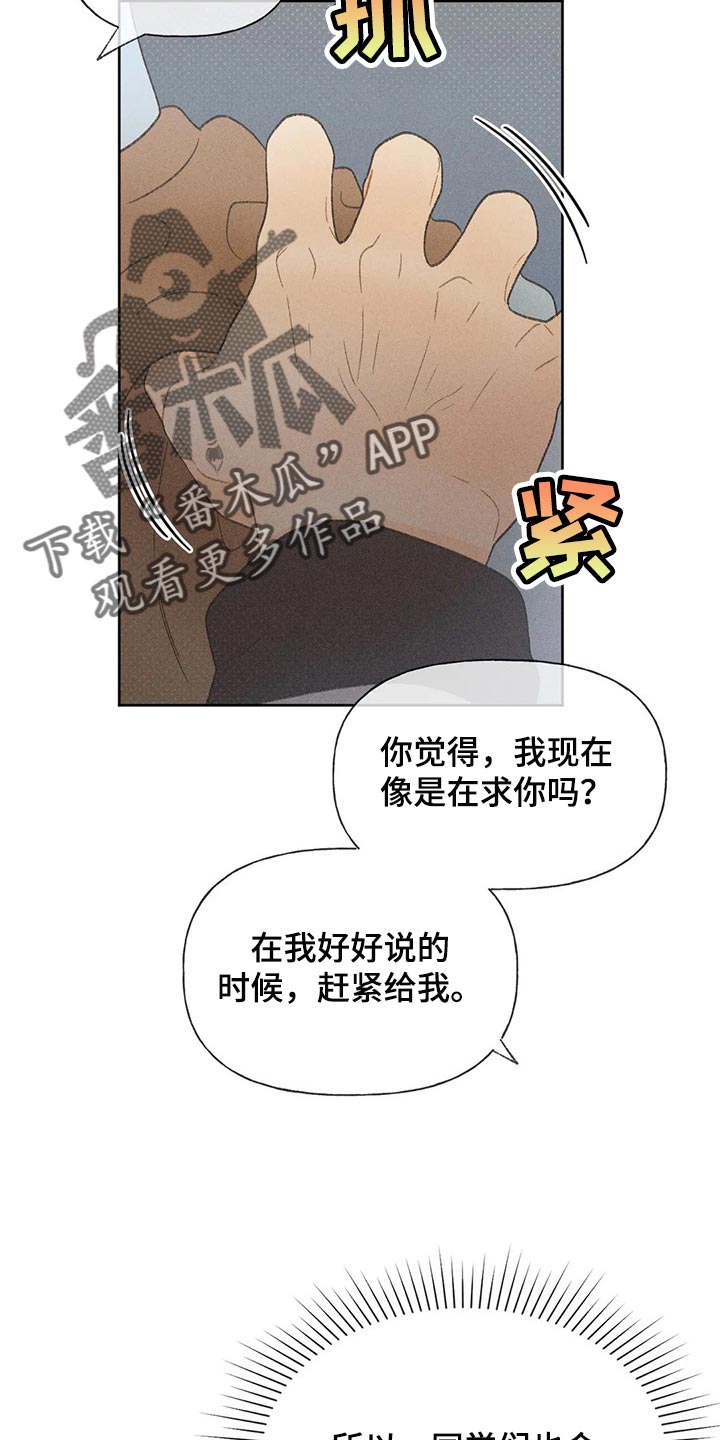 秋牡丹耐寒多少度漫画,第27章：路过的市民2图